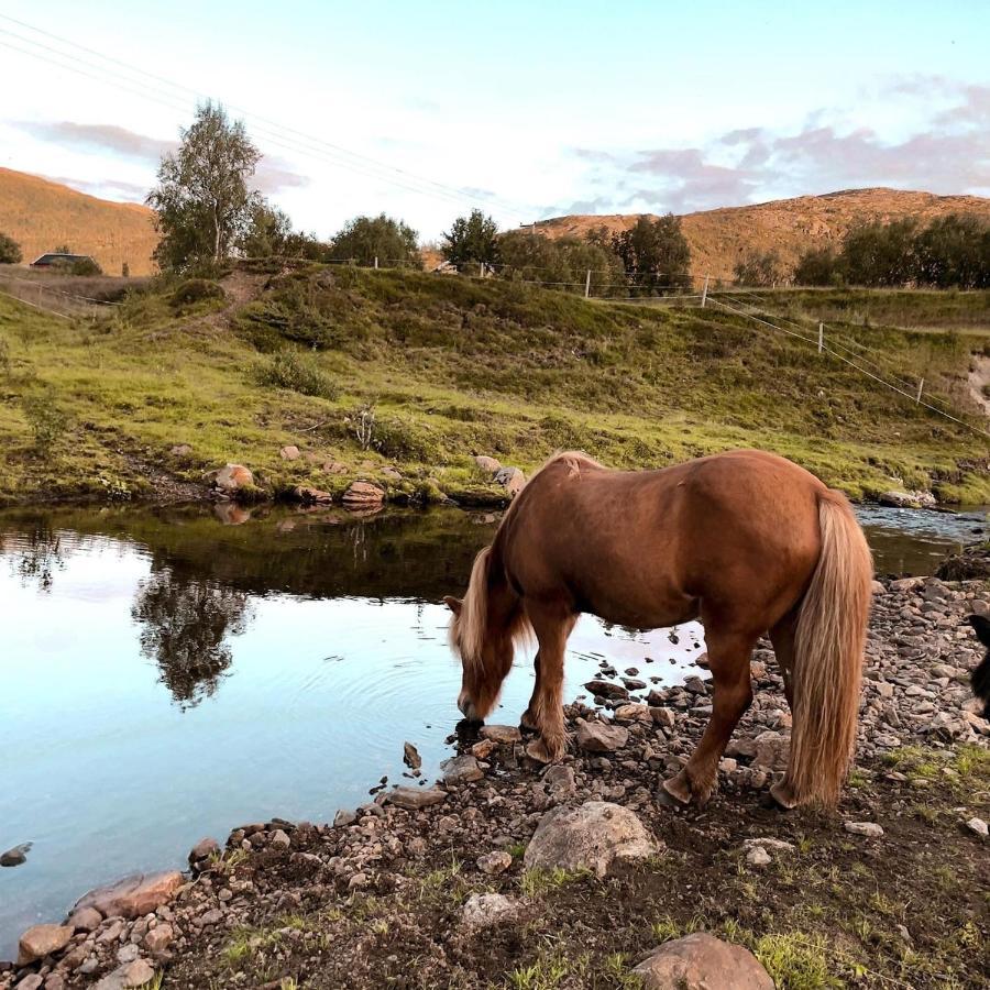 Storjord Farmstay Ranchhouse Kvaloya Luaran gambar