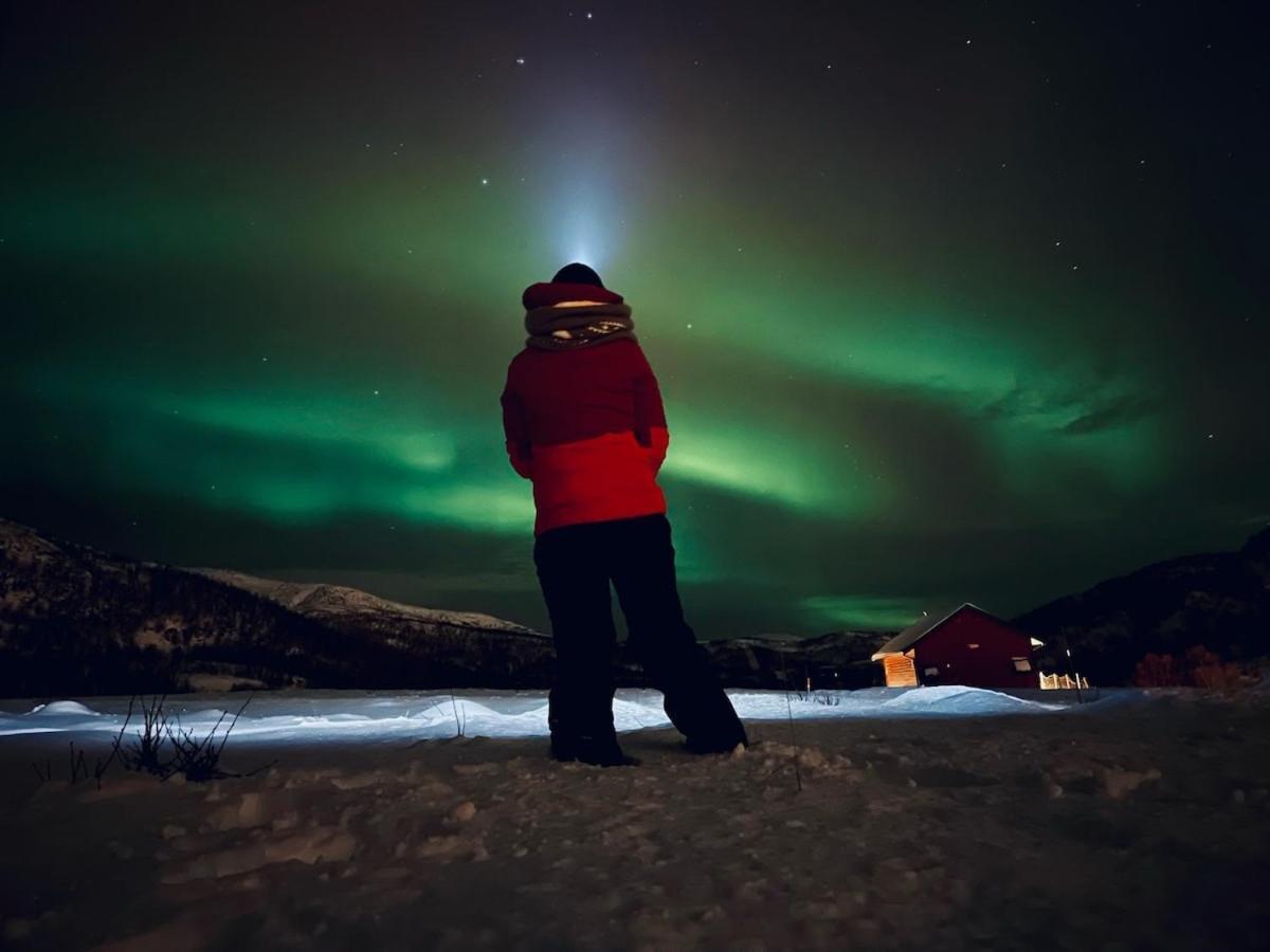Storjord Farmstay Ranchhouse Kvaloya Luaran gambar