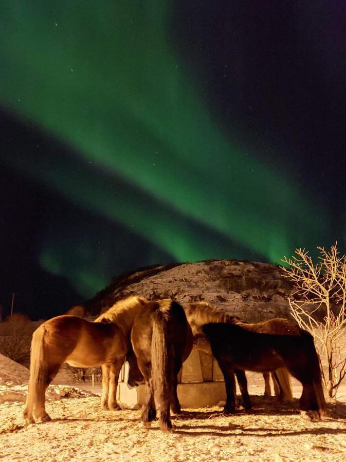 Storjord Farmstay Ranchhouse Kvaloya Luaran gambar